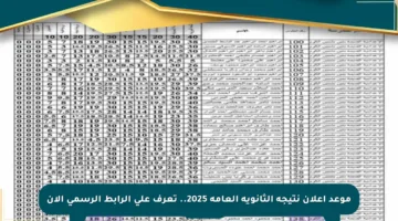موعد إعلان نتيجة الثانوية العامة 2025.. تعرف على الرابط الرسمي الآن